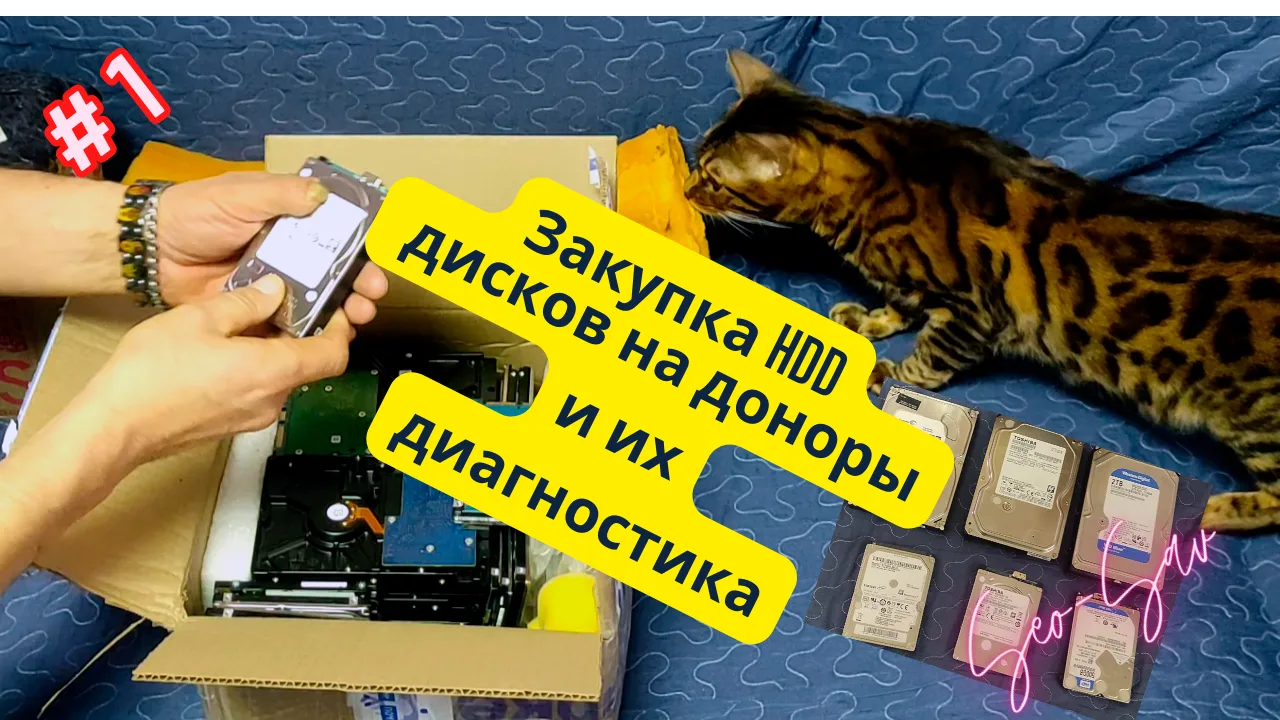 «Первая часть тестирования шести неисправных HDD-доноров: диагностика и проверка доступа к секторам».